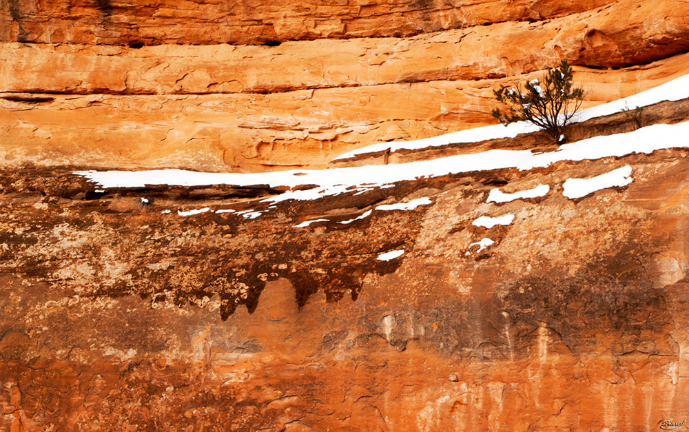 %_tempFileNameIMG_8640%