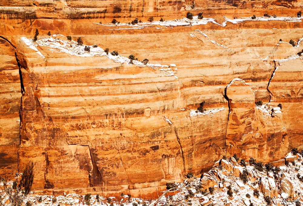 %_tempFileNameIMG_8651%