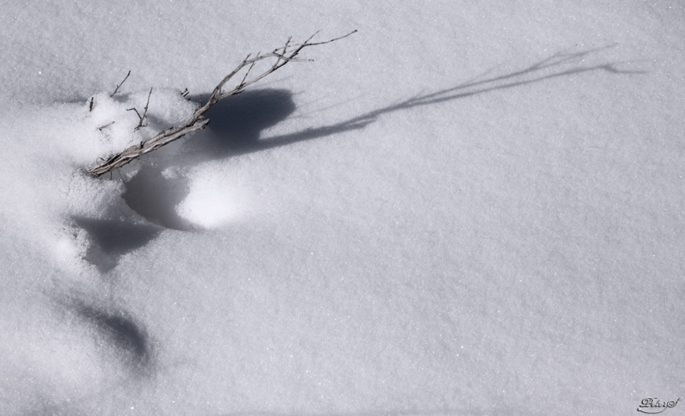 %_tempFileNameIMG_8661%