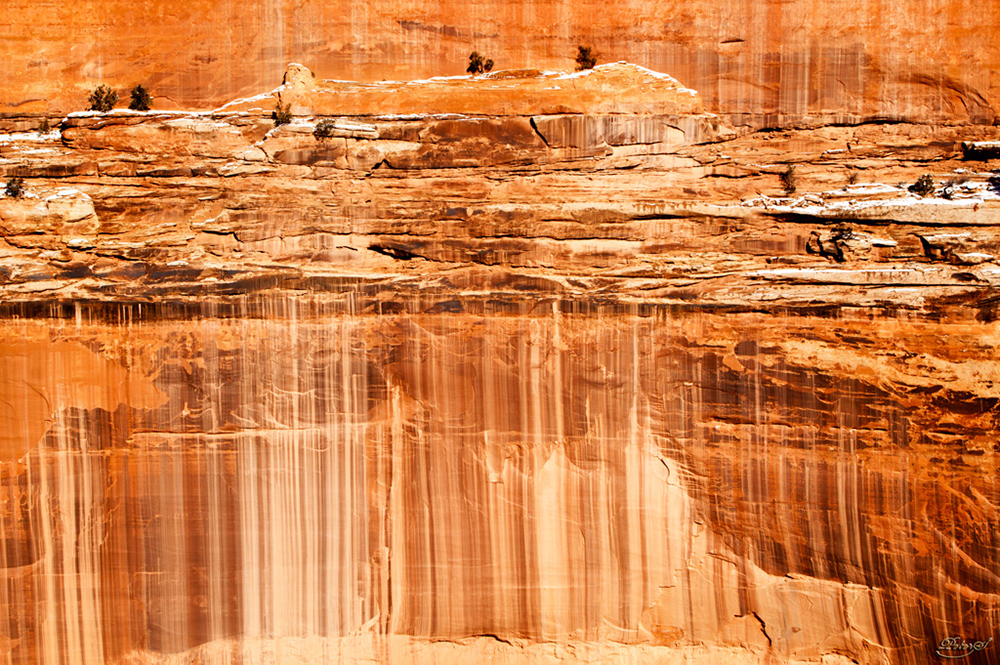 %_tempFileNameIMG_8665%