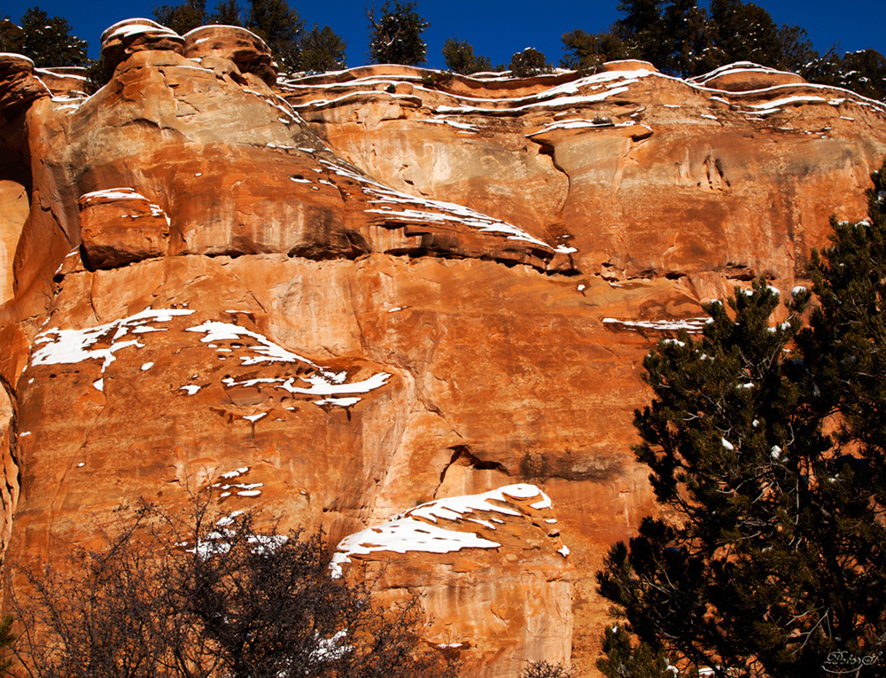 %_tempFileNameIMG_8667%