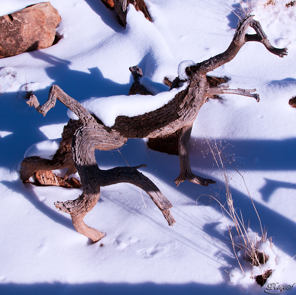 %_tempFileNameIMG_8689%