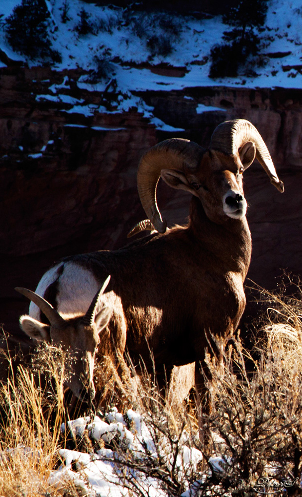 %_tempFileNameIMG_8700%