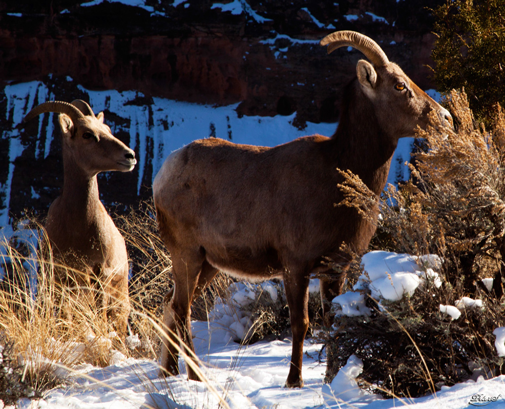 %_tempFileNameIMG_8702%