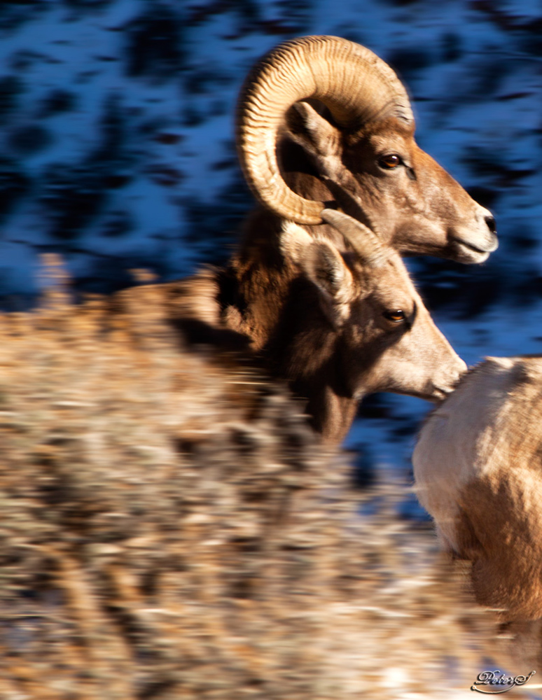 %_tempFileNameIMG_8706%