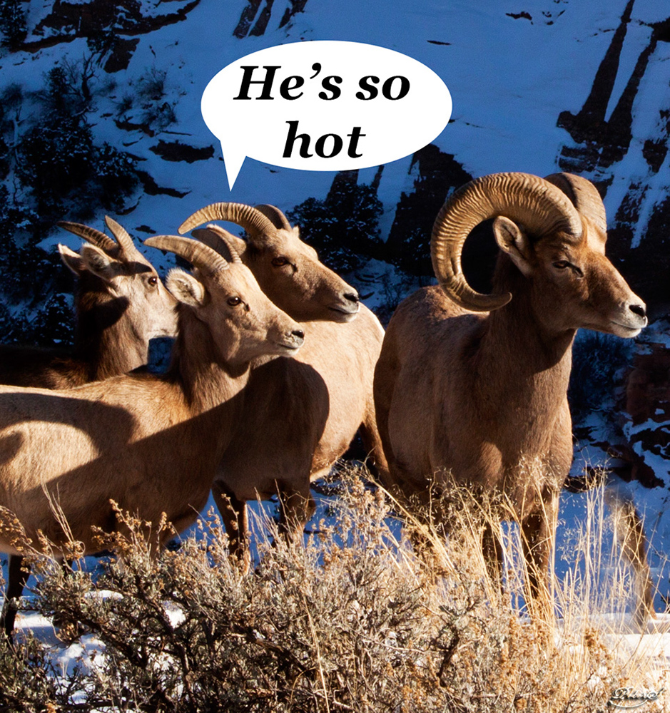 %_tempFileNameIMG_8711%