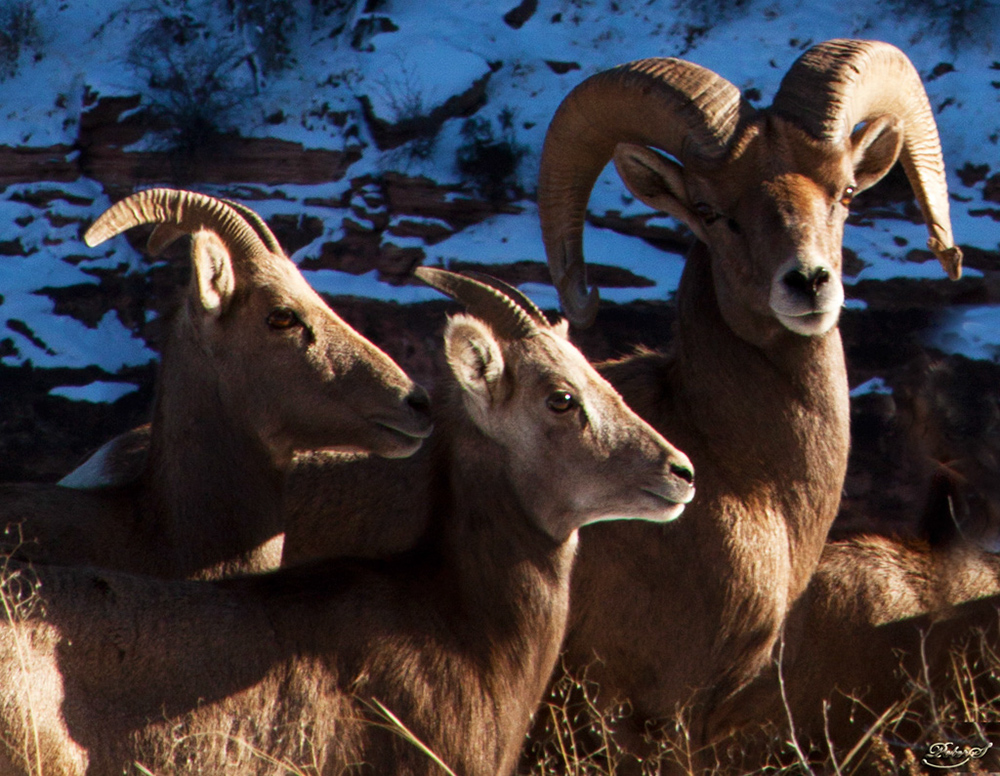 %_tempFileNameIMG_8718%