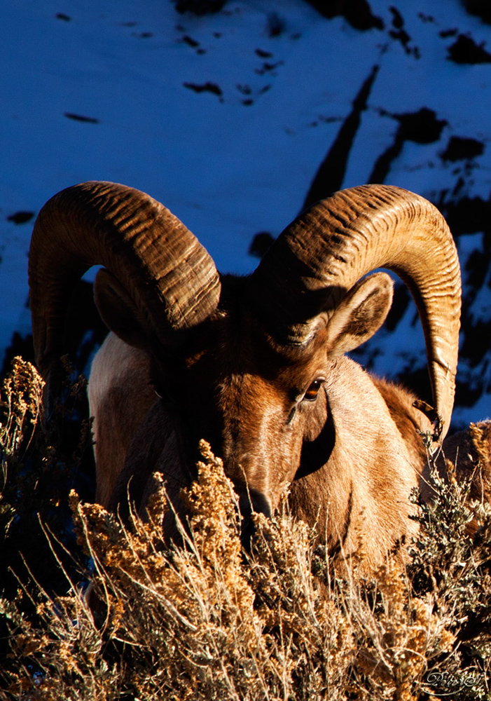 %_tempFileNameIMG_8721%