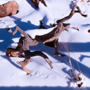 %_tempFileNameIMG_8689%