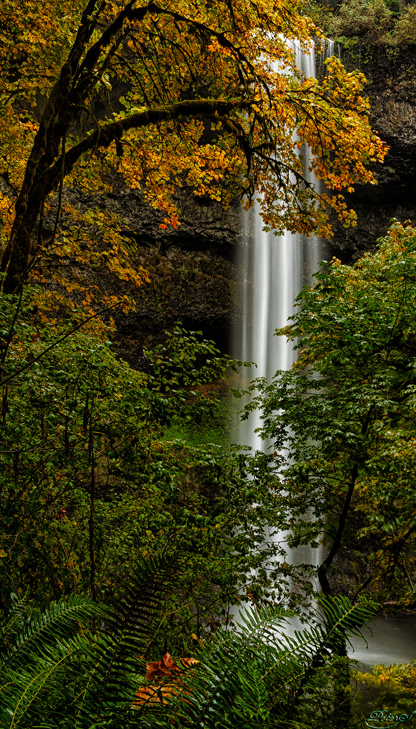 %_tempFileNameIMG_0519%