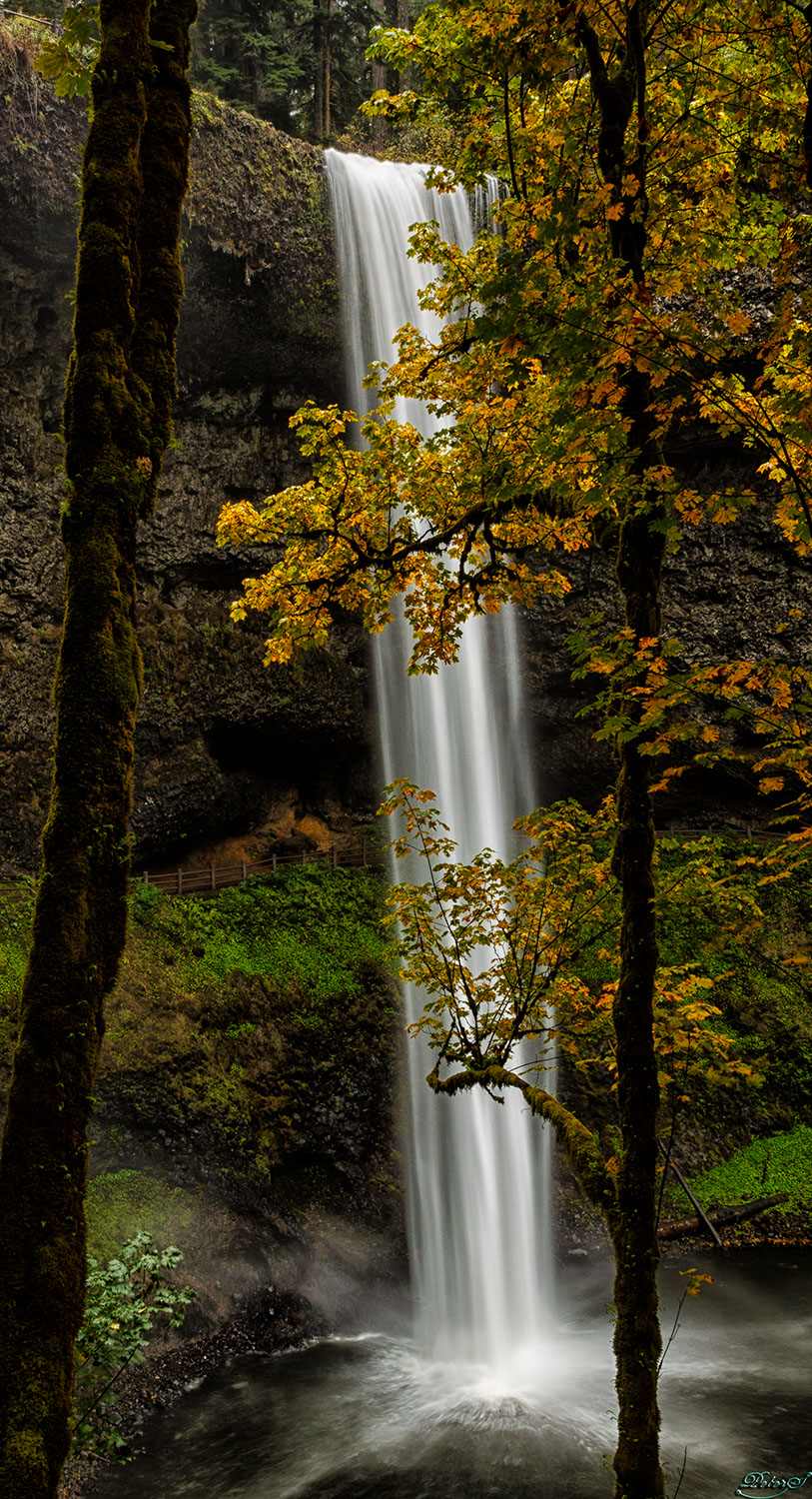 %_tempFileNameIMG_0521%