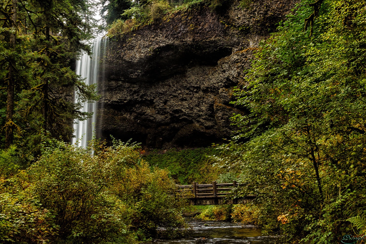 %_tempFileNameIMG_0539%