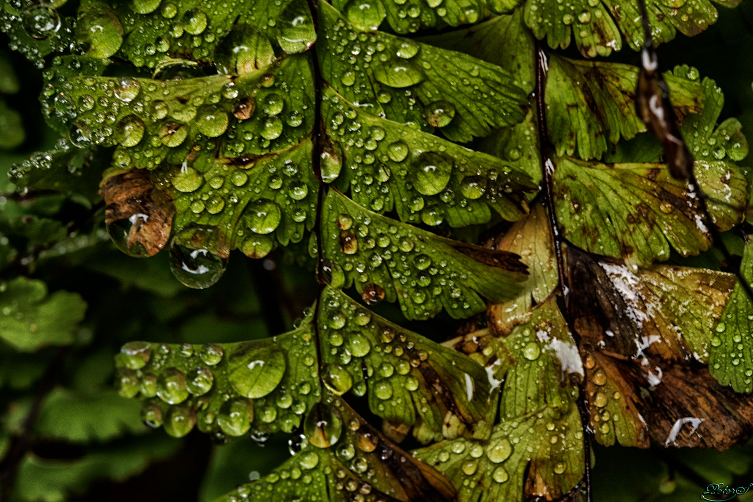 %_tempFileNameIMG_0543%