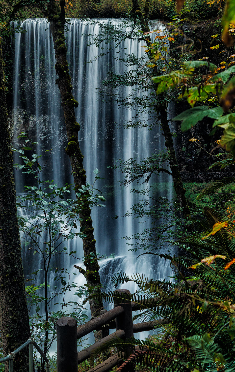 %_tempFileNameIMG_0549%