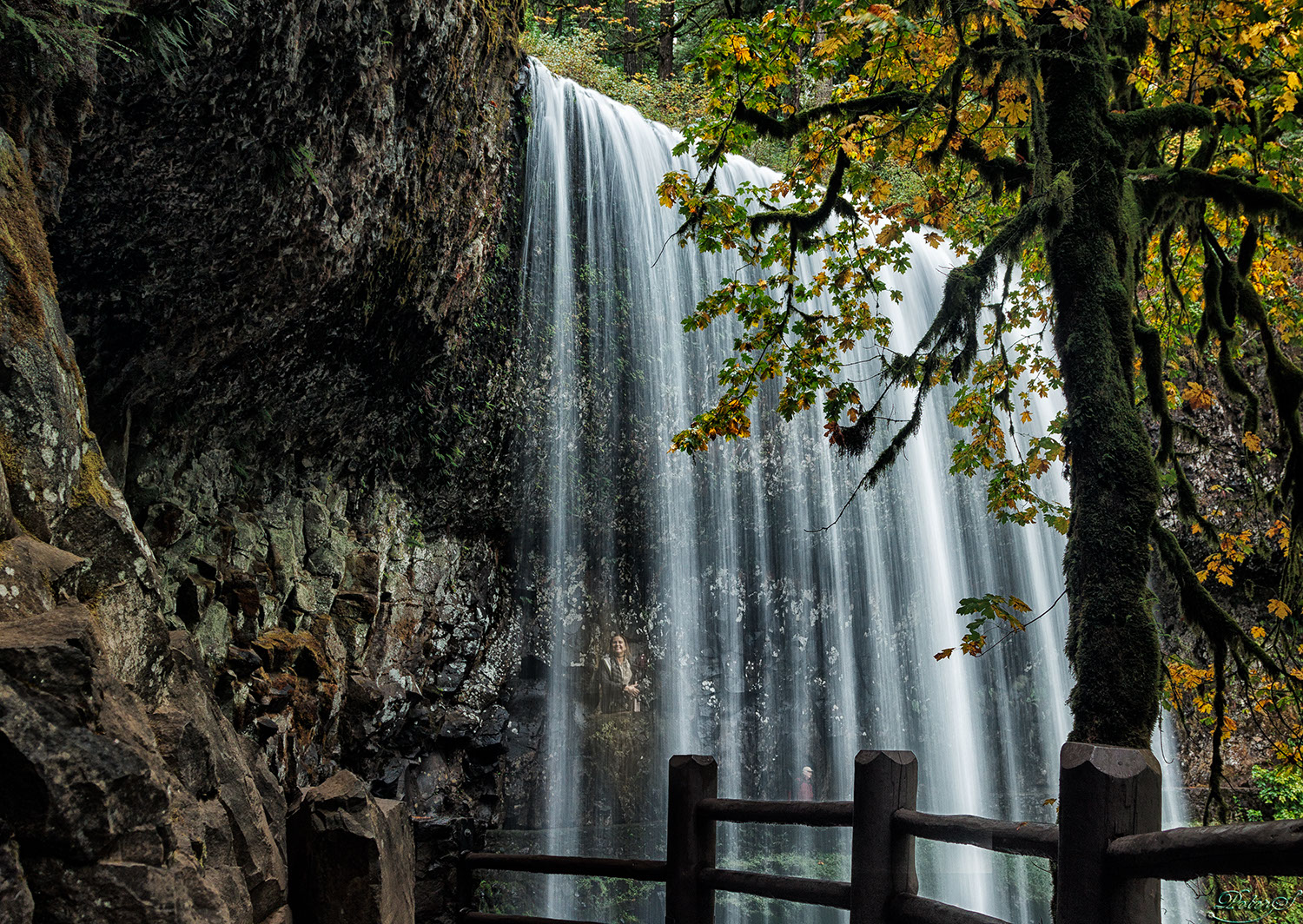 %_tempFileNameIMG_0555%