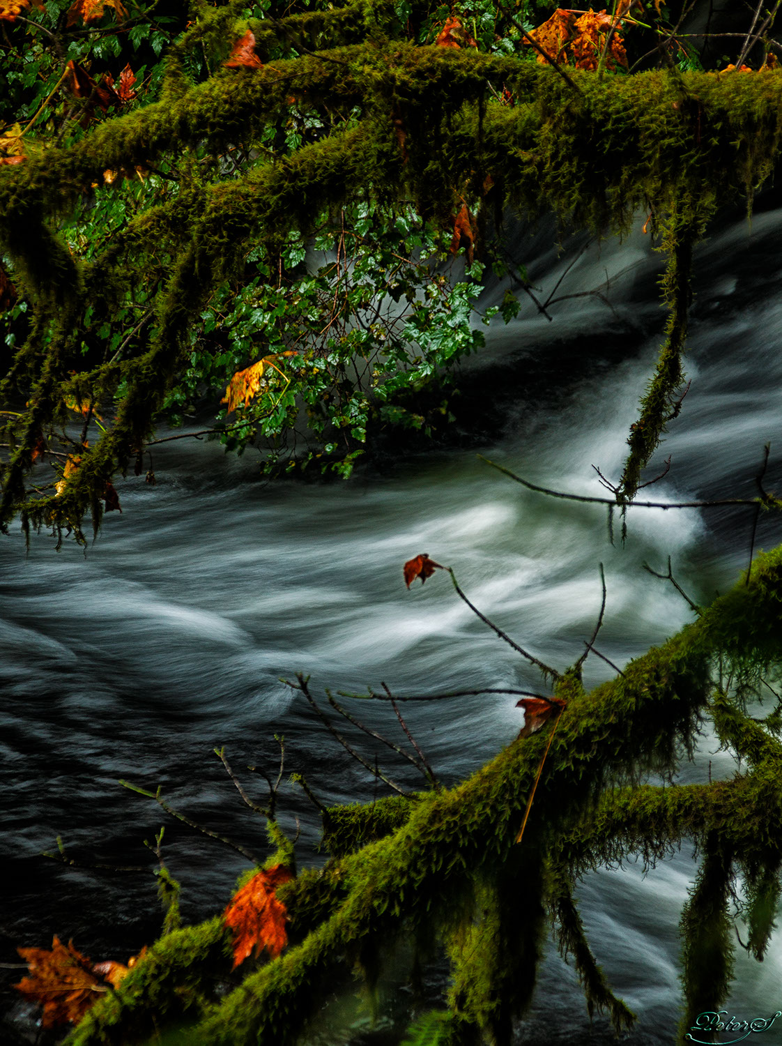 %_tempFileNameIMG_0558%