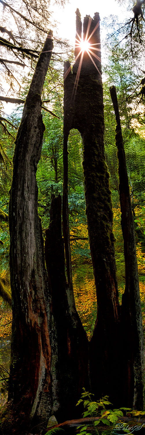 %_tempFileNameIMG_0584%