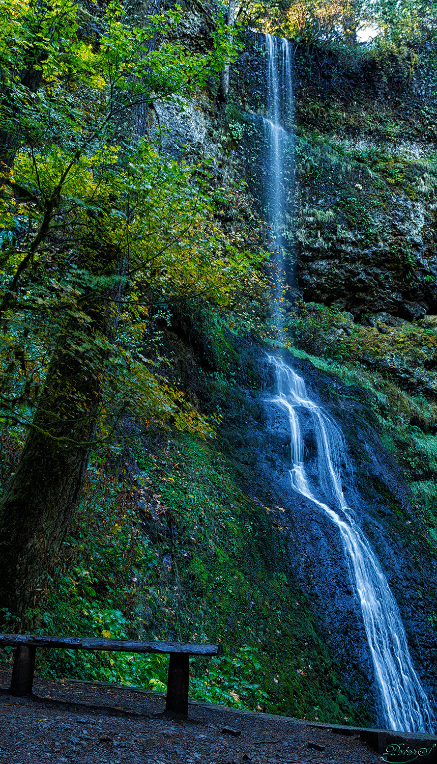 %_tempFileNameIMG_0589%