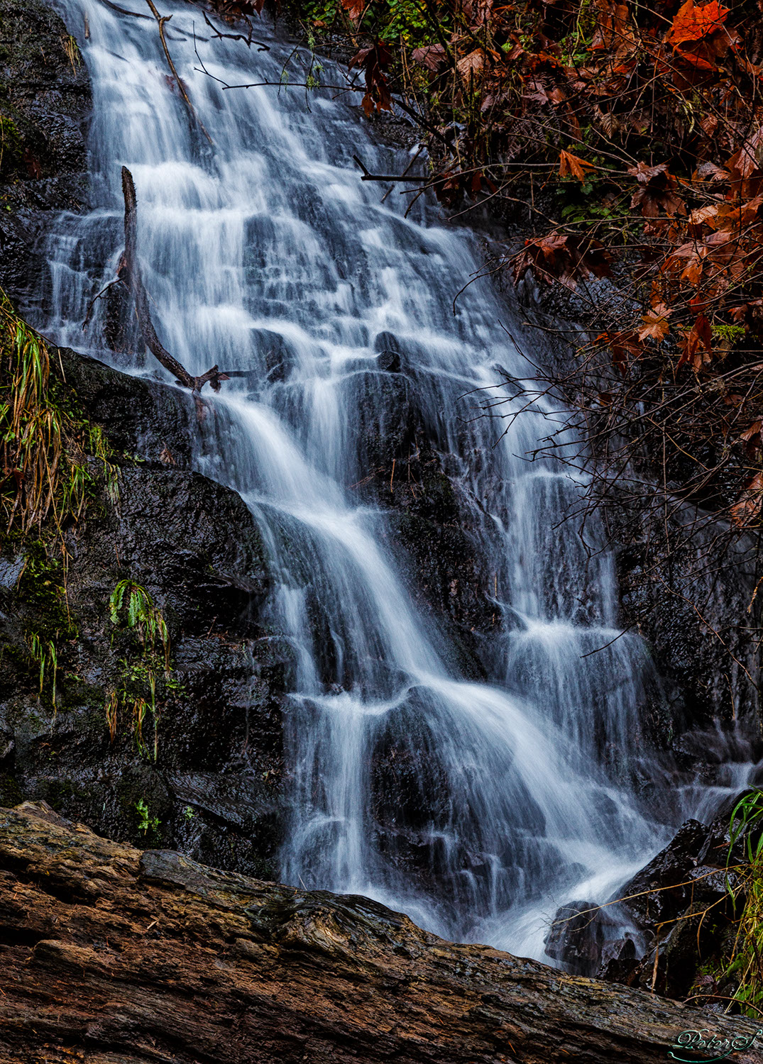 %_tempFileNameIMG_0655%