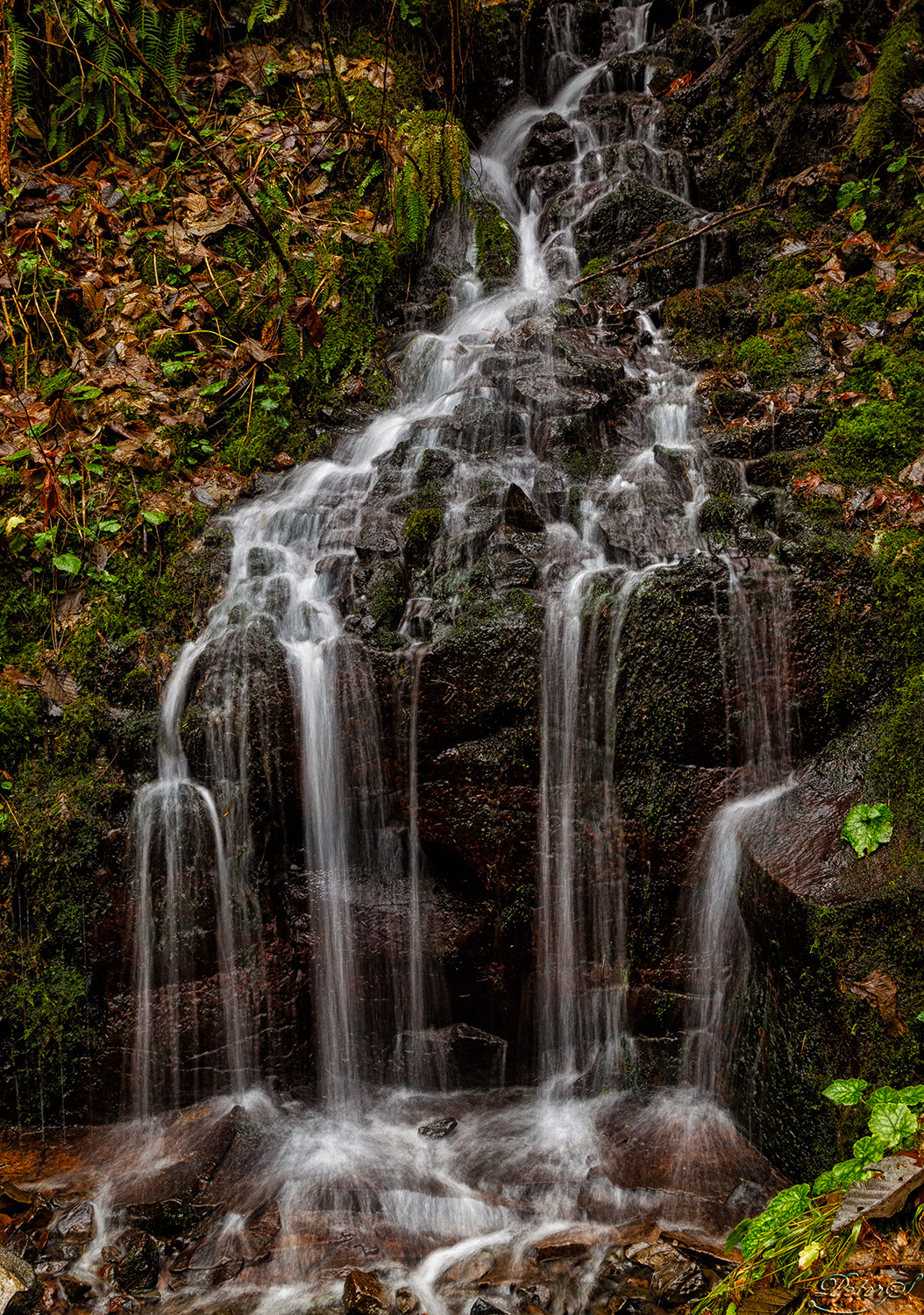 %_tempFileNameIMG_0670%