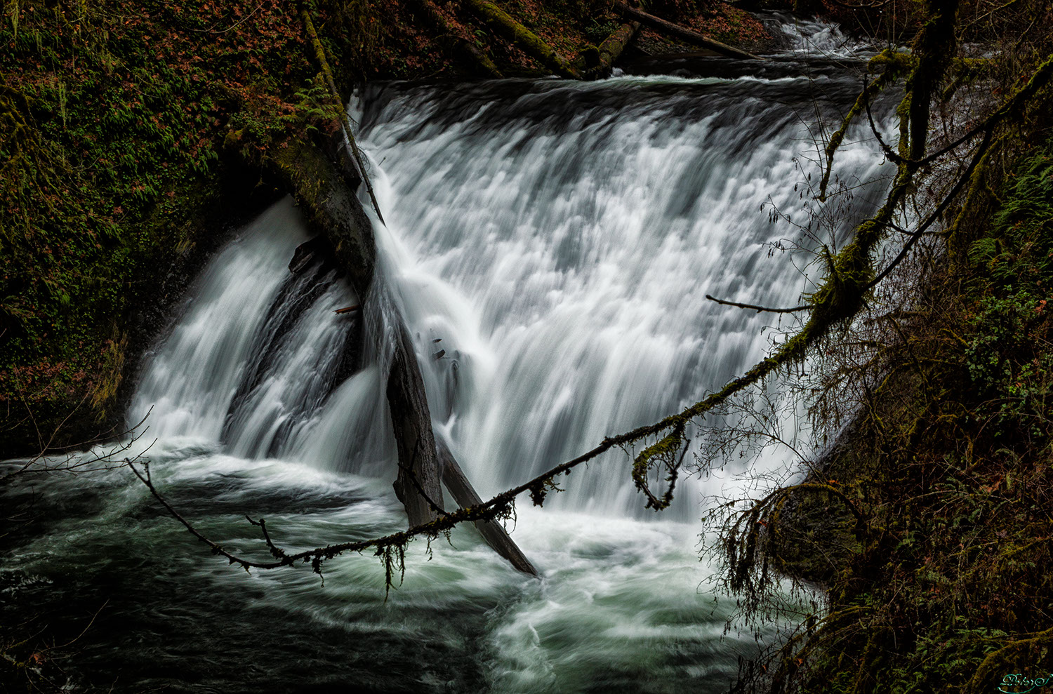 %_tempFileNameIMG_0674%