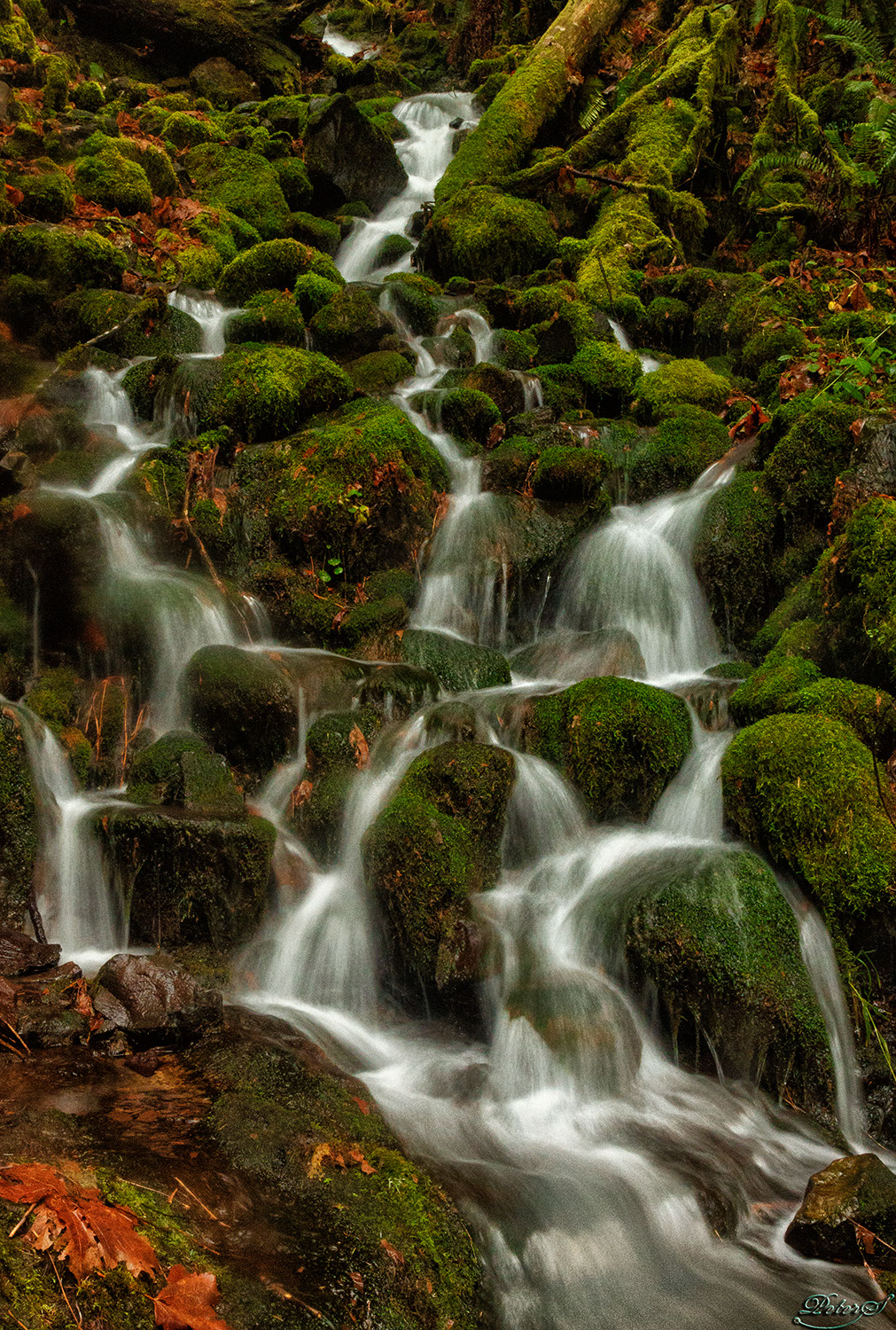 %_tempFileNameIMG_0697%