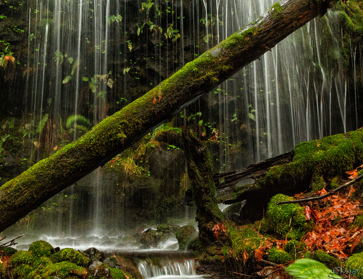 %_tempFileNameIMG_0699%