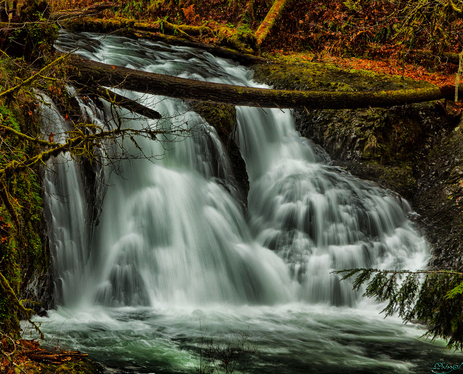 %_tempFileNameIMG_0702%