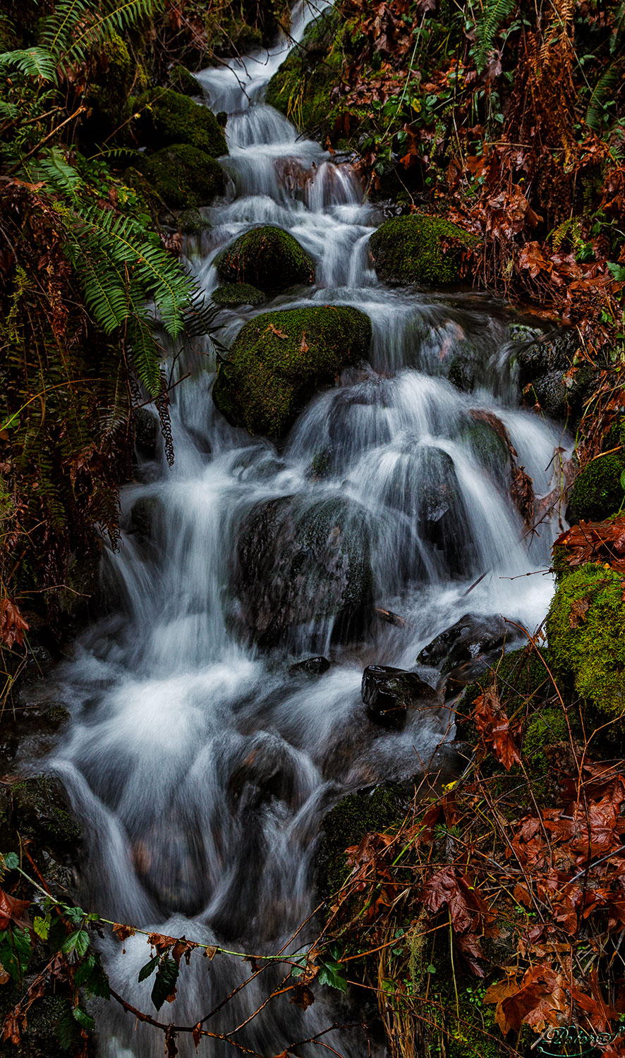 %_tempFileNameIMG_0712%