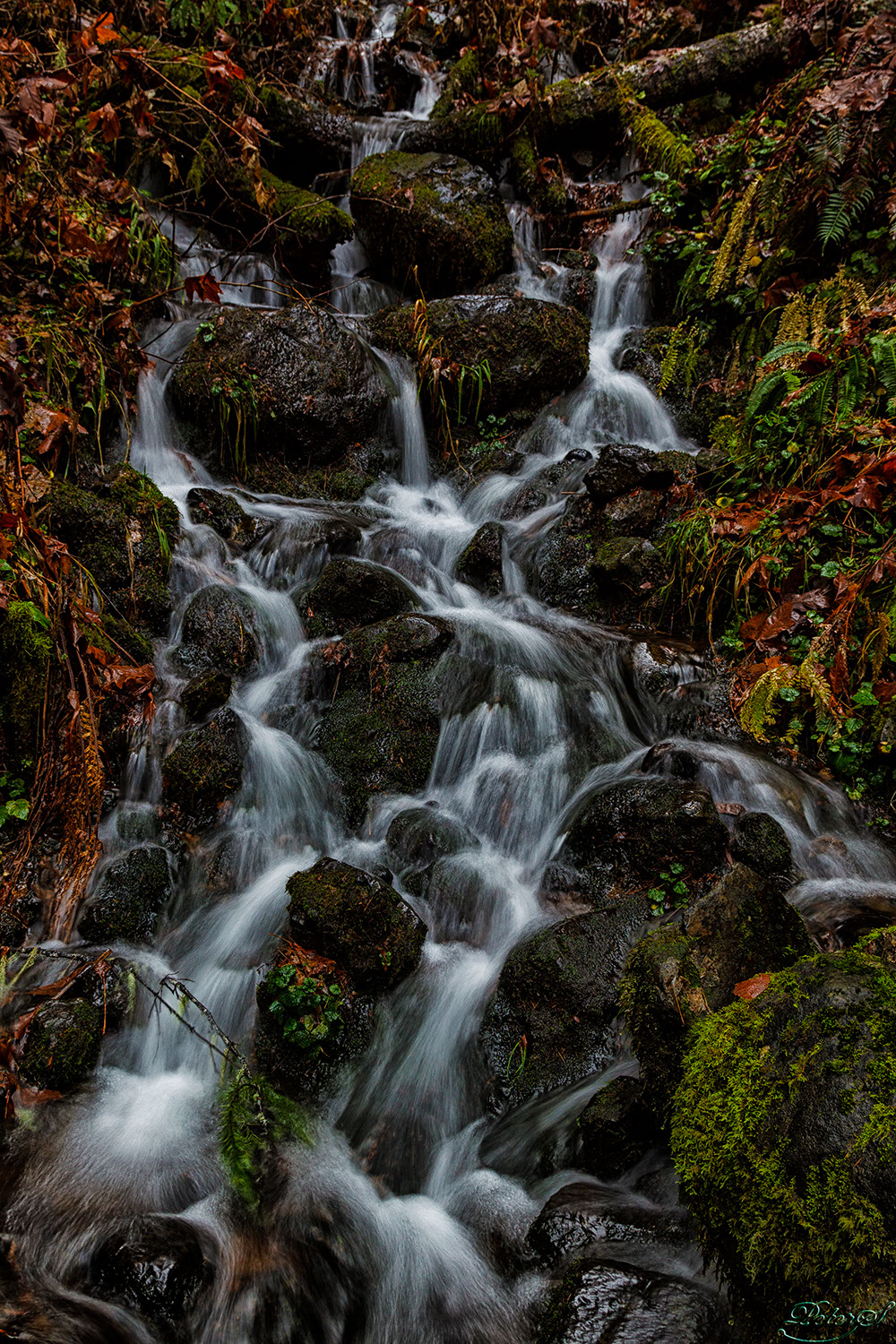 %_tempFileNameIMG_0713%