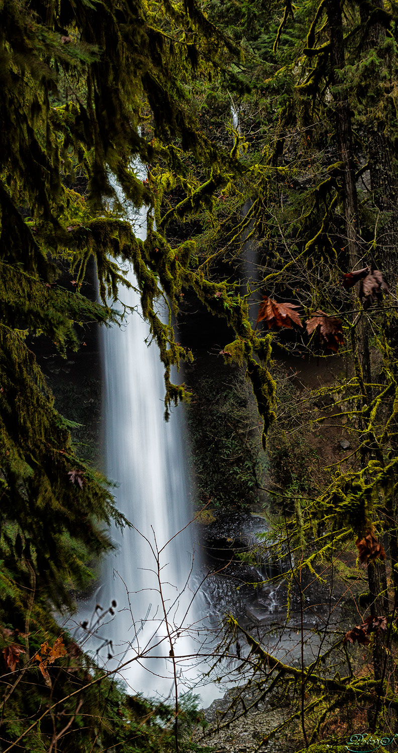 %_tempFileNameIMG_0719%