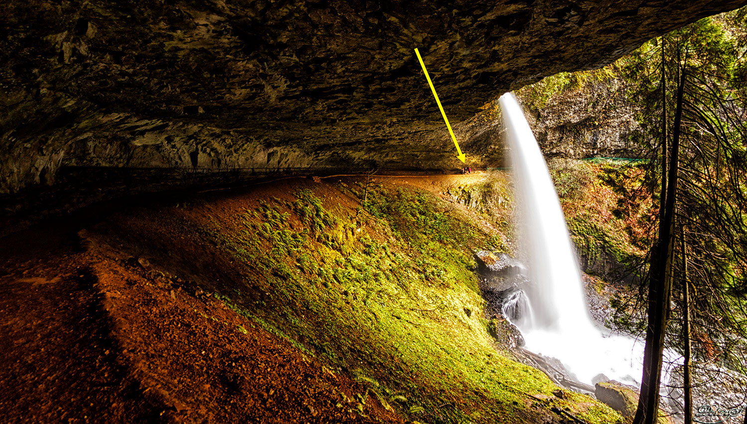 %_tempFileNameIMG_0737%