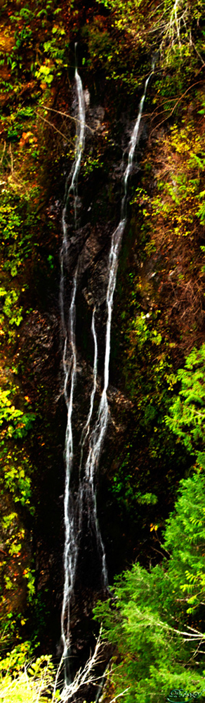 %_tempFileNameIMG_2000%