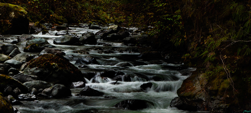 %_tempFileNameIMG_2001%