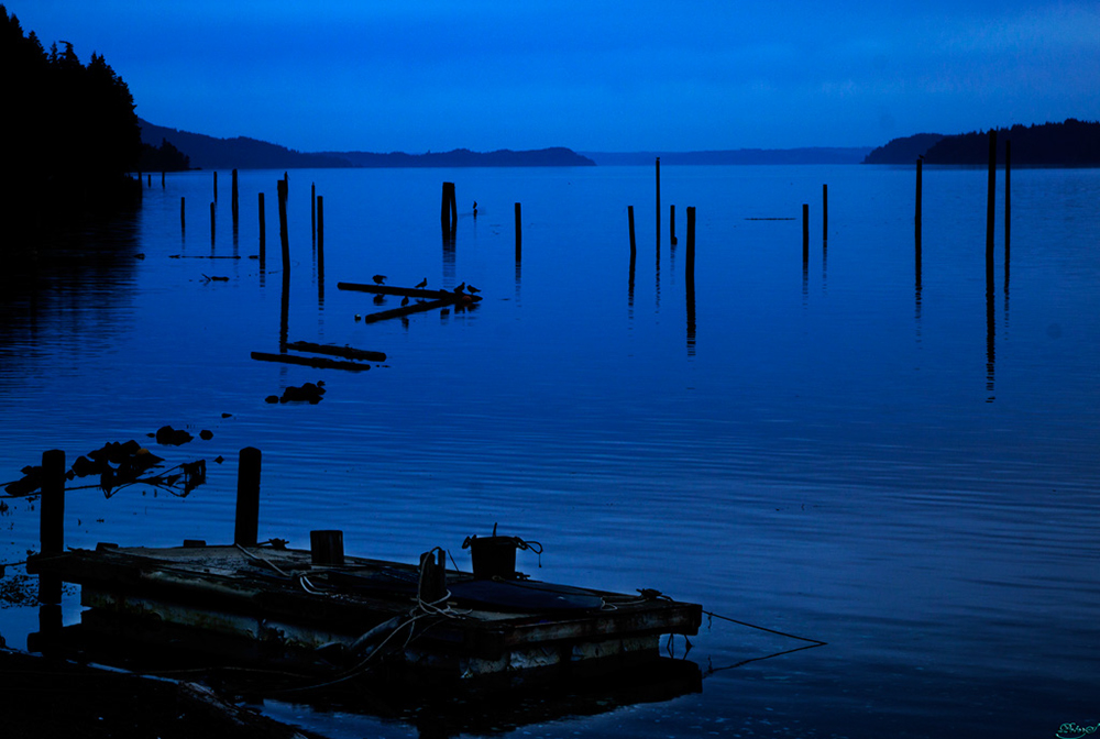 %_tempFileNameIMG_2003%