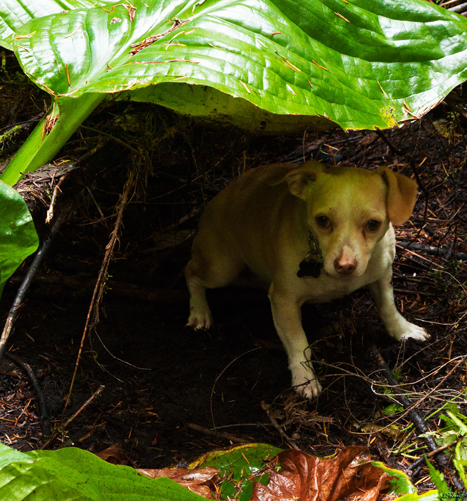 %_tempFileNameIMG_2006%