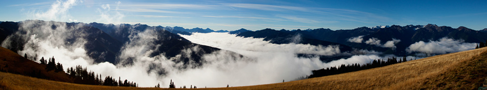 %_tempFileNameIMG_2012%