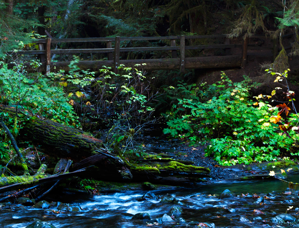 %_tempFileNameIMG_2026%