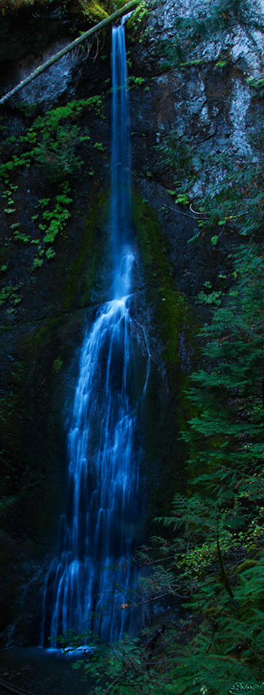 %_tempFileNameIMG_2031%