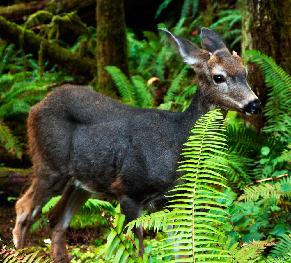 %_tempFileNameIMG_2038%