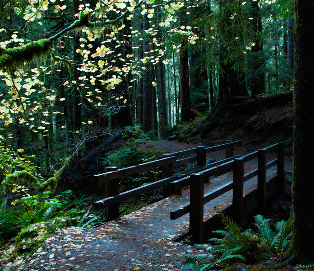 %_tempFileNameIMG_2062%