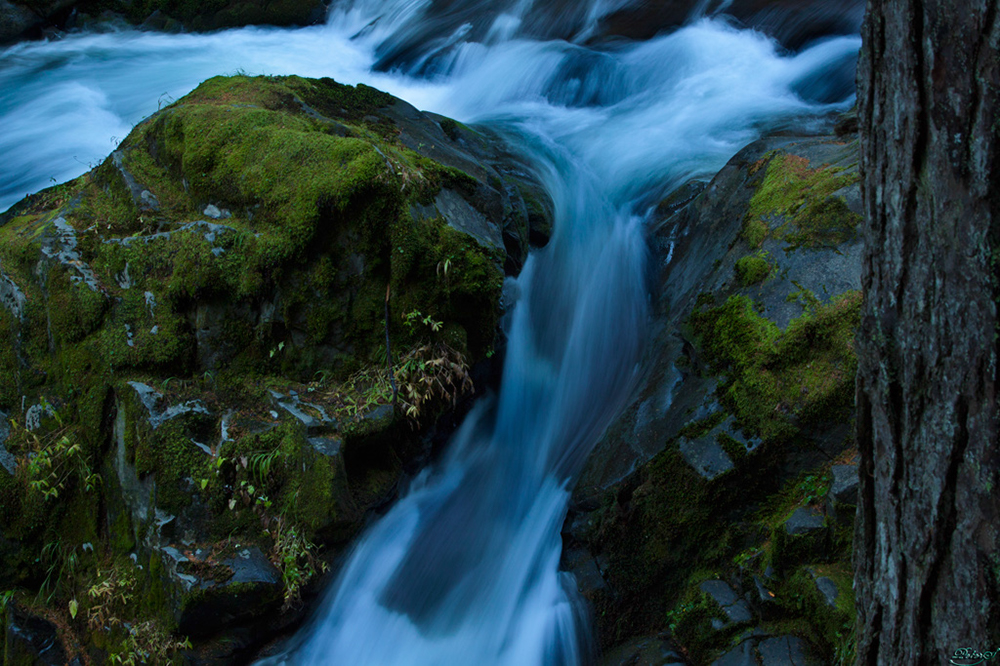 %_tempFileNameIMG_2066%