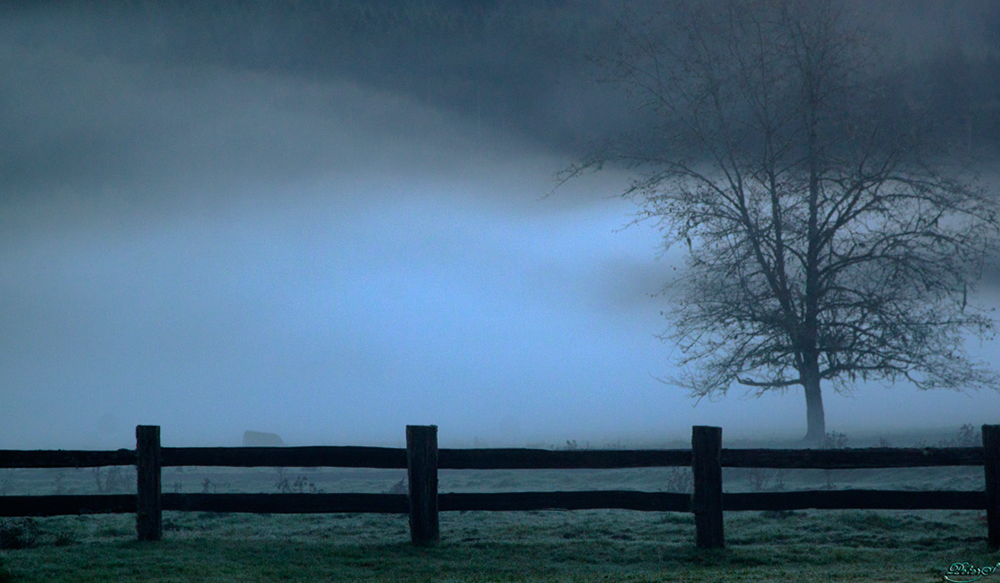 %_tempFileNameIMG_2082%