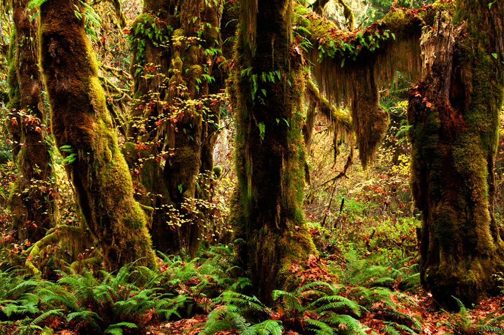 %_tempFileNameIMG_2084%