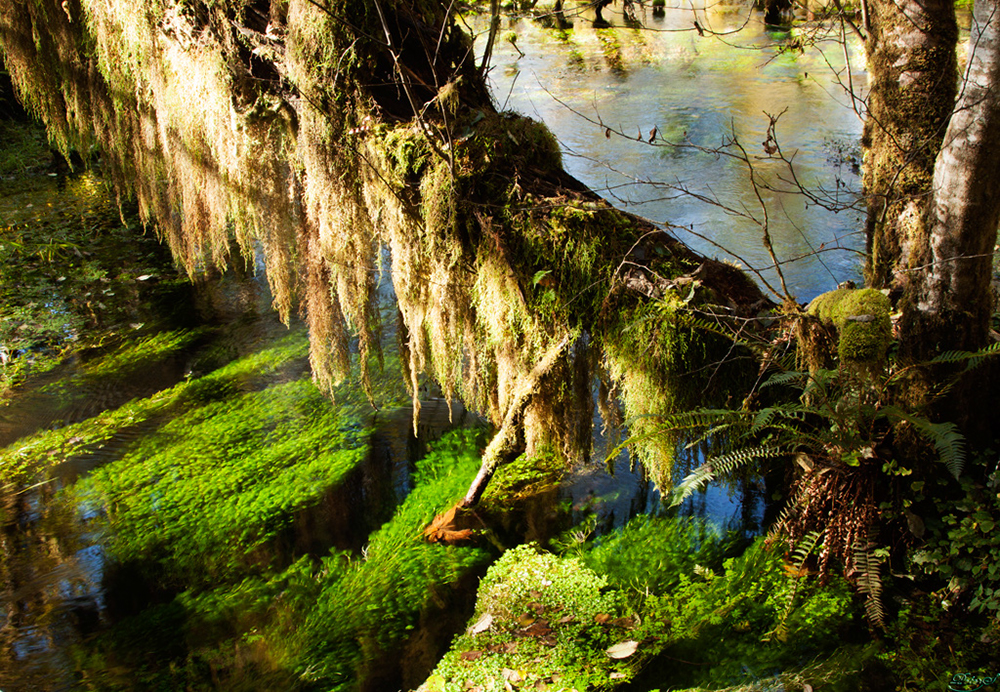 %_tempFileNameIMG_2095%