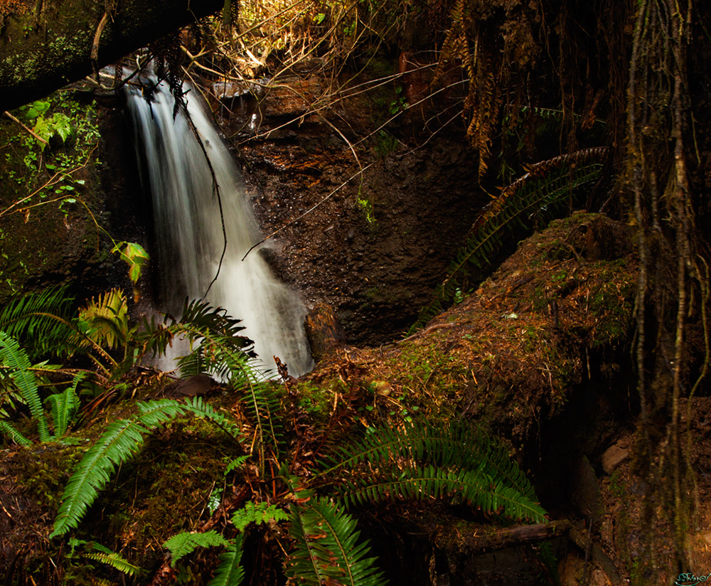 %_tempFileNameIMG_2110%