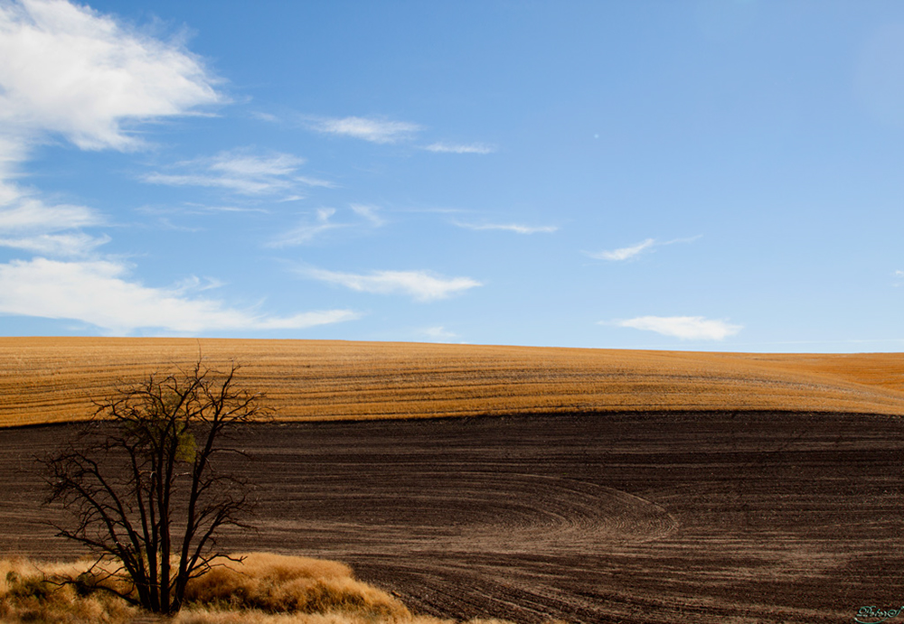 %_tempFileNameIMG_1885%