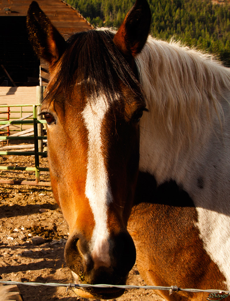 %_tempFileNameIMG_1912%