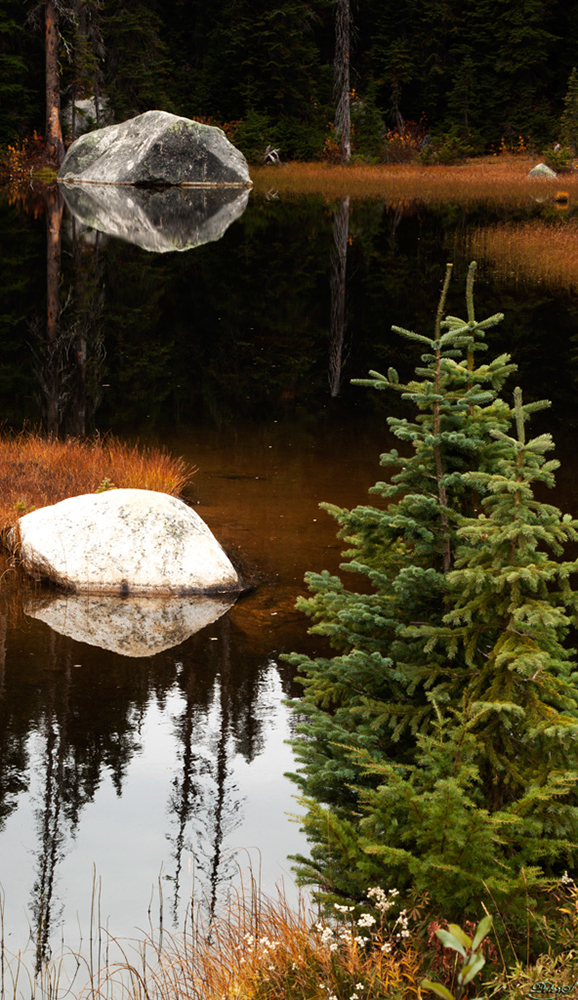 %_tempFileNameIMG_1916%