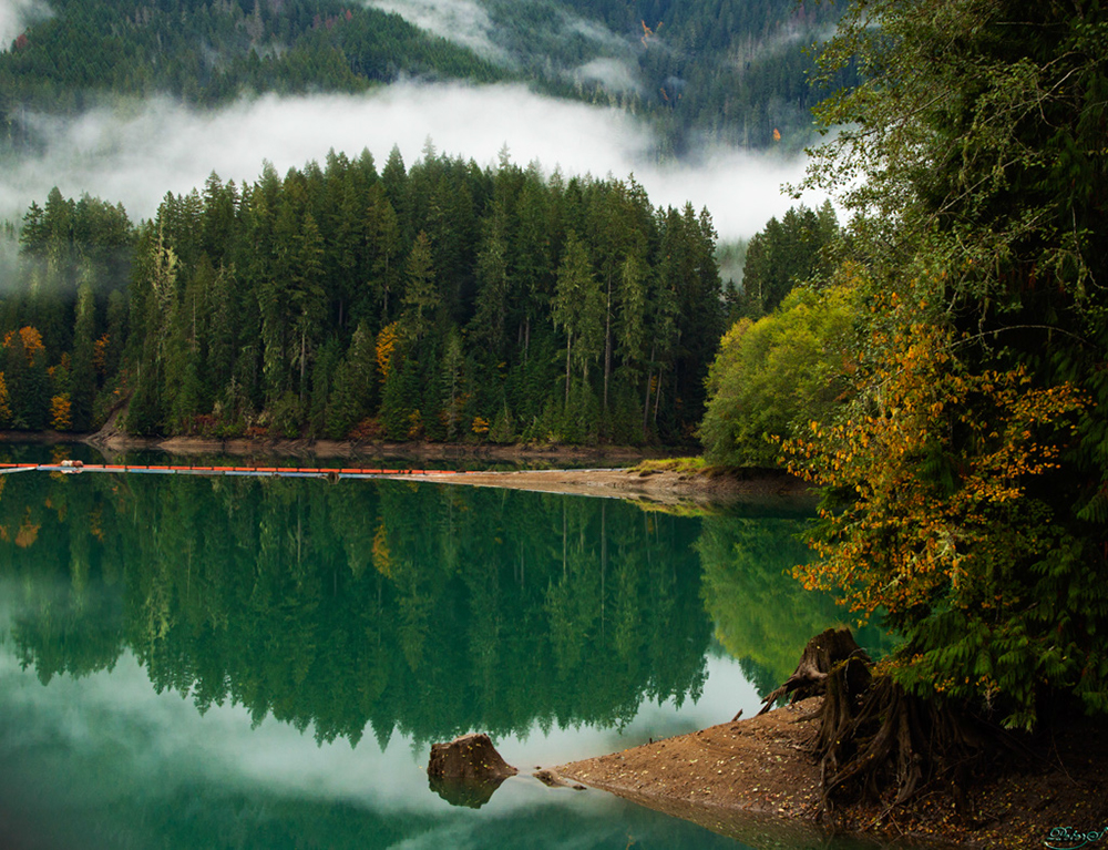 %_tempFileNameIMG_1964%